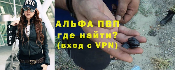 PSILOCYBIN Заводоуковск